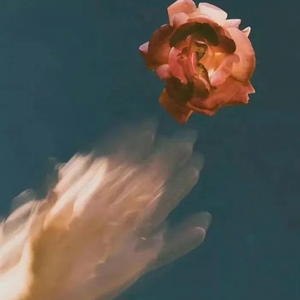 色色网免费视频
