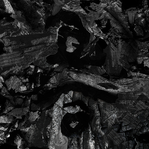 色色网免费视频
