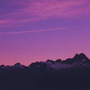 色色网免费视频
