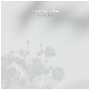 色色网免费视频
